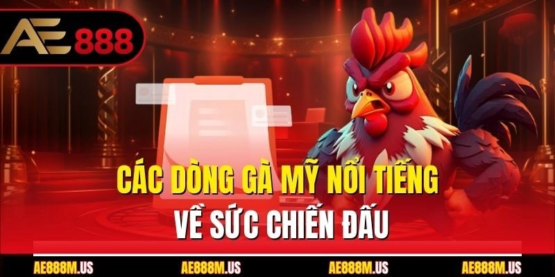 Các dòng gà Mỹ nổi tiếng về sức chiến đấu