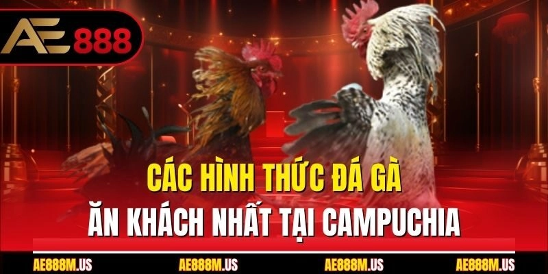 Các hình thức đá gà ăn khách nhất tại Campuchia