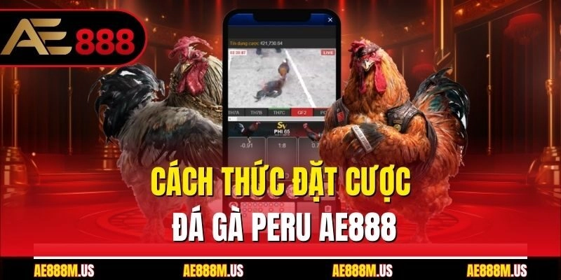 Cách thức đặt cược đá gà Peru Ae888