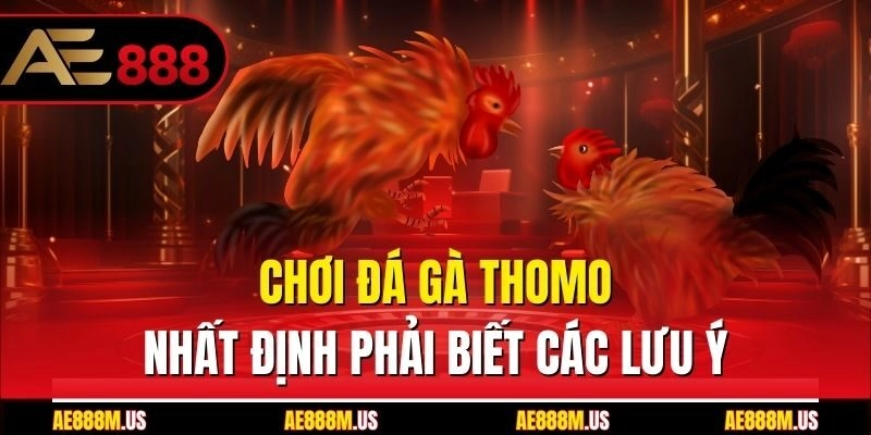 Chơi đá gà thomo nhất định phải biết các lưu ý