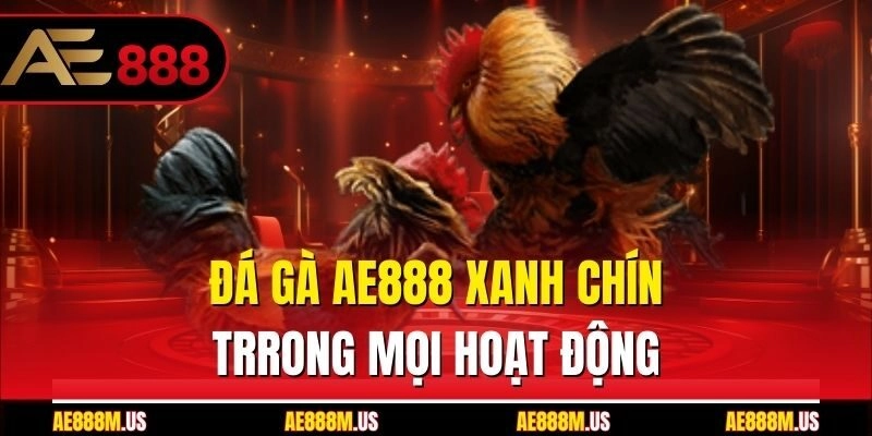 Đá gà Ae888 xanh chín trong mọi hoạt động