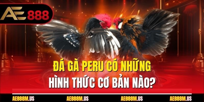 Đá gà Peru có những hình thức cơ bản nào?