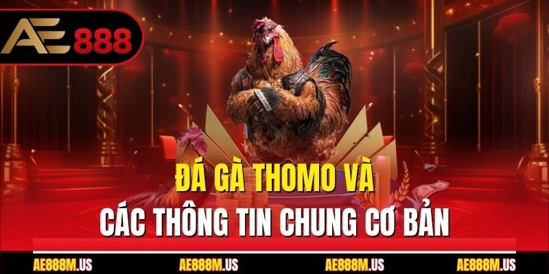 Đá gà Thomo và các thông tin chung cơ bản