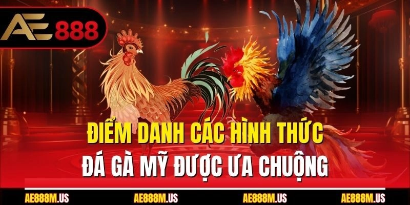 Điểm danh các hình thức đá gà Mỹ được ưa chuộng