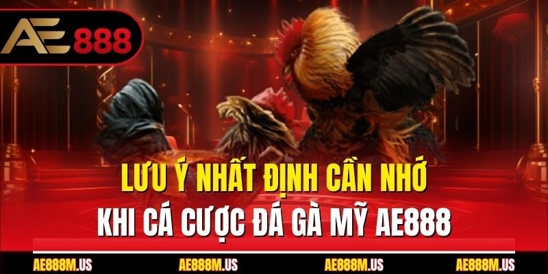 Lưu ý nhất định cần nhớ khi cá cược đá gà Mỹ Ae888