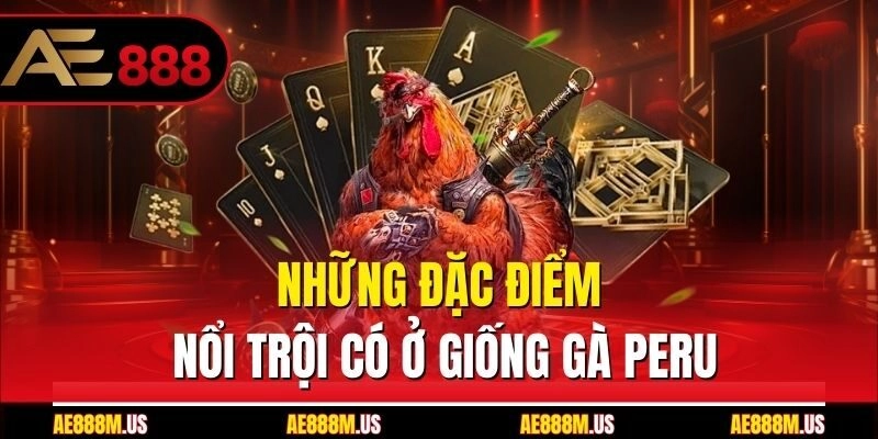 Những đặc điểm nổi trội có ở giống gà Peru