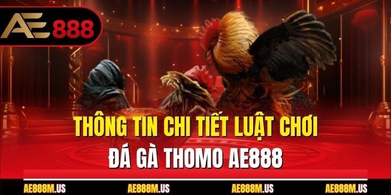Thông tin chi tiết luật chơi đá gà thomo Ae888