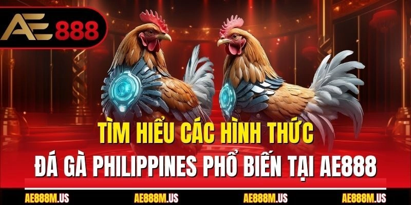 Tìm hiểu các hình thức đá gà Philippines phổ biến tại Ae888