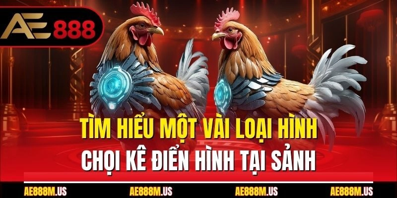 Tìm hiểu một vài loại hình chọi kê điển hình tại sảnh